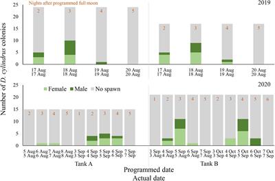 Repeated ex situ Spawning in Two Highly Disease Susceptible Corals in the Family Meandrinidae